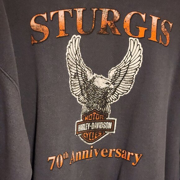 🦅 Harley-Davidson Sturgis 2010 70th Anniversary Sweatshirt L 🦅 - Picture 4 of 6